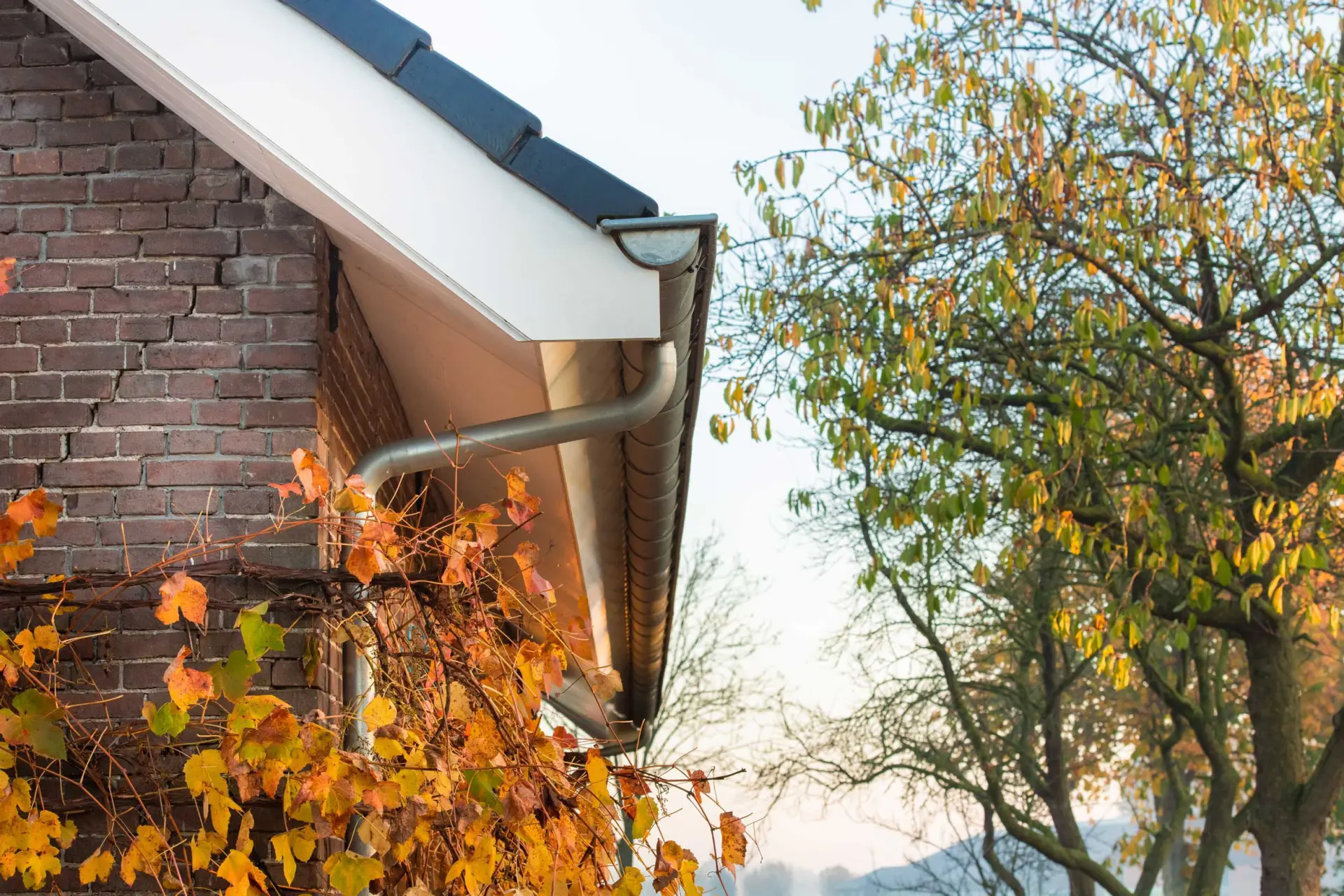 Woonhuis Renovatie 11