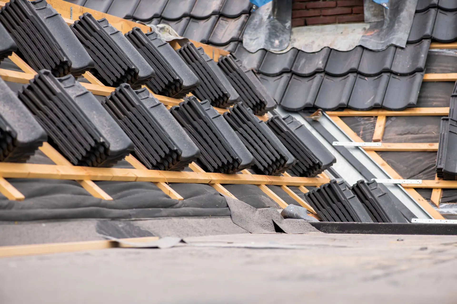 Project Dakrenovatie 20